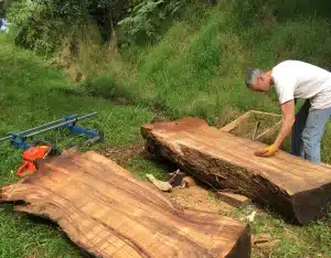 Man sanding down koa wood in a forest