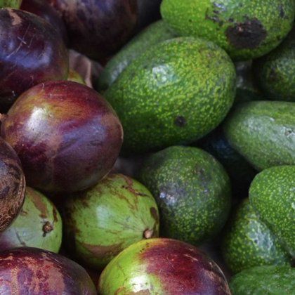 Image for twitter card